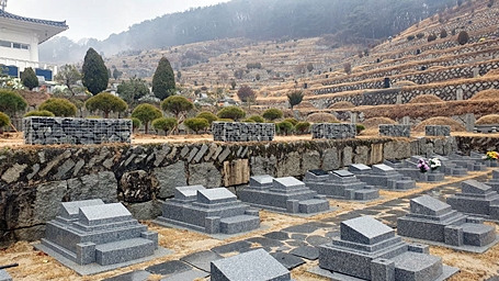 수목장평장납골묘분양묘지이장개장화장매장 PC 이미지 2782371