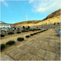 수목장평장납골묘분양묘지이장개장화장매장 PC 갤러리 6