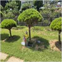 장묘