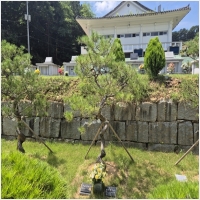 장묘