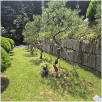 장묘